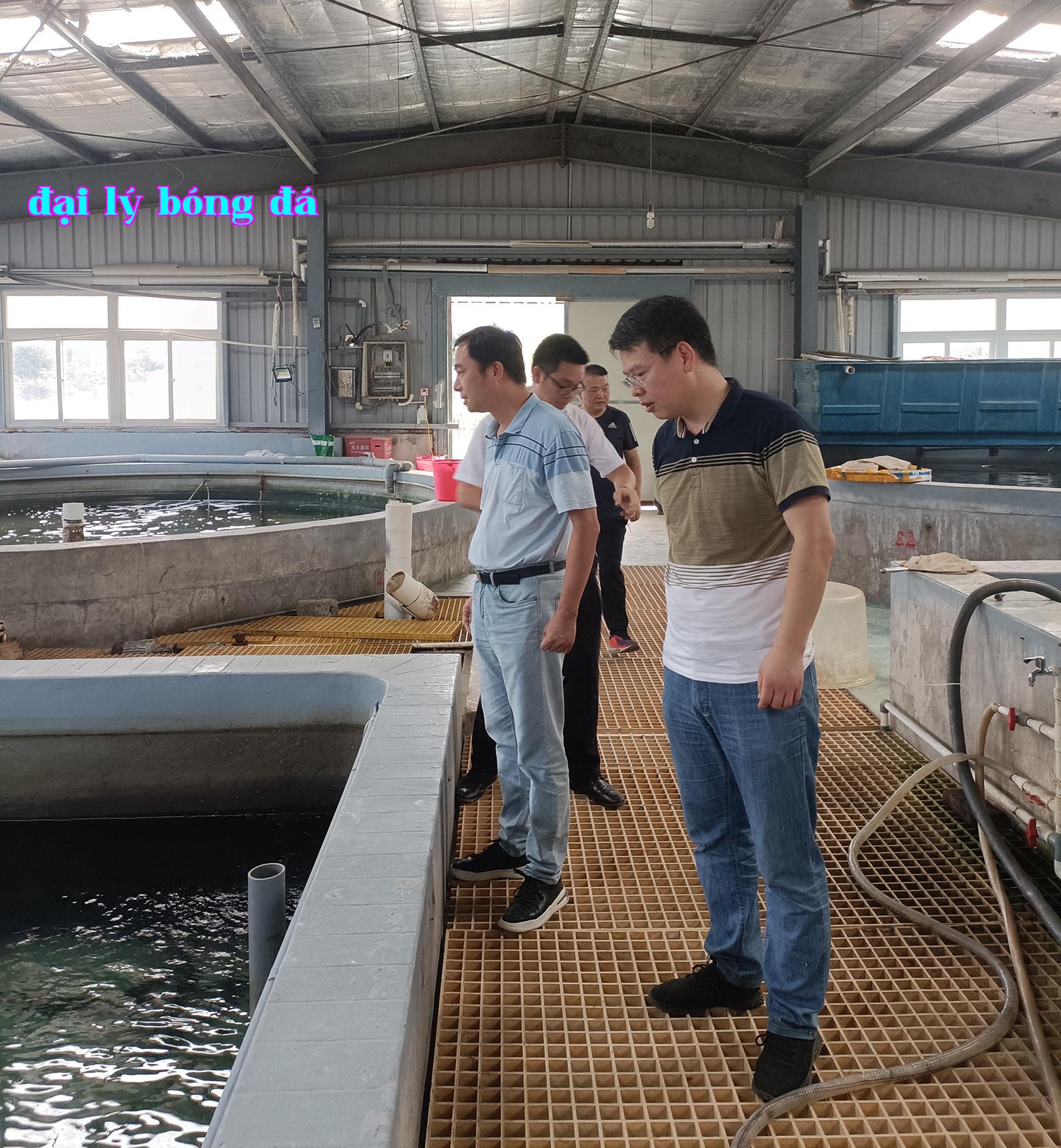 Công ty Công nghệ Xiamen Sterful