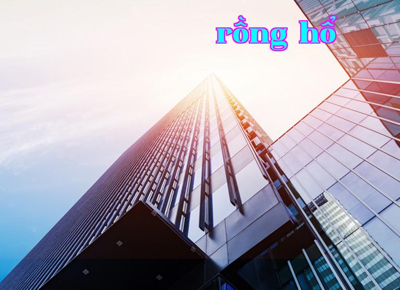 Công ty Công nghệ Xiamen Sterful