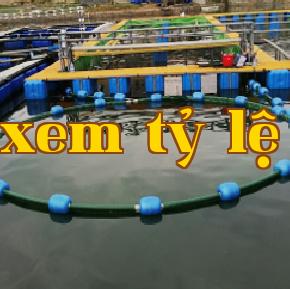 Thiết bị phun nước & cho ăn tự động làm sạch bùn
